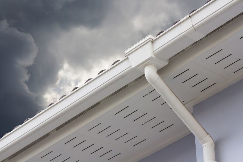 Gutter System Inspection